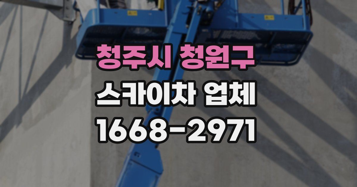 청주시 청원구 스카이차 업체