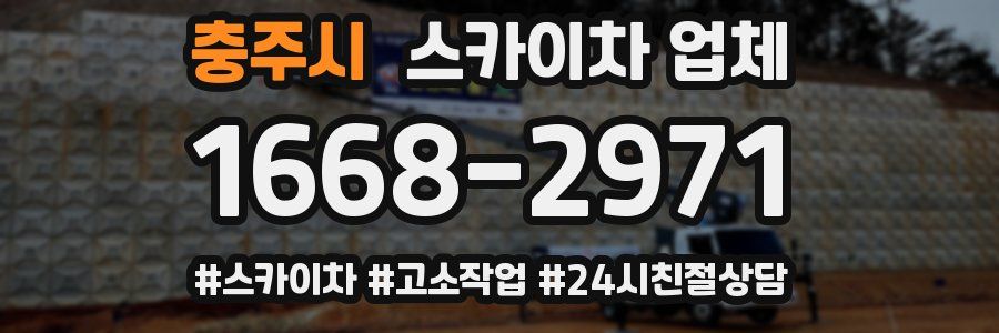 충주시 스카이차 업체