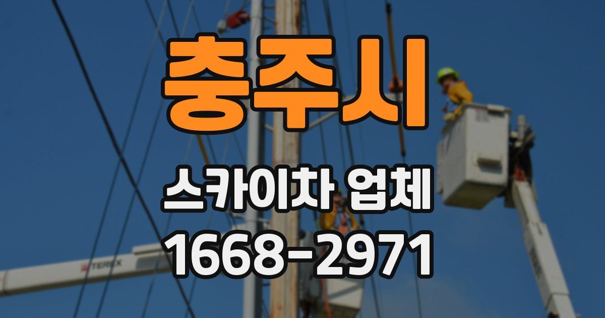 충주시 스카이차 업체