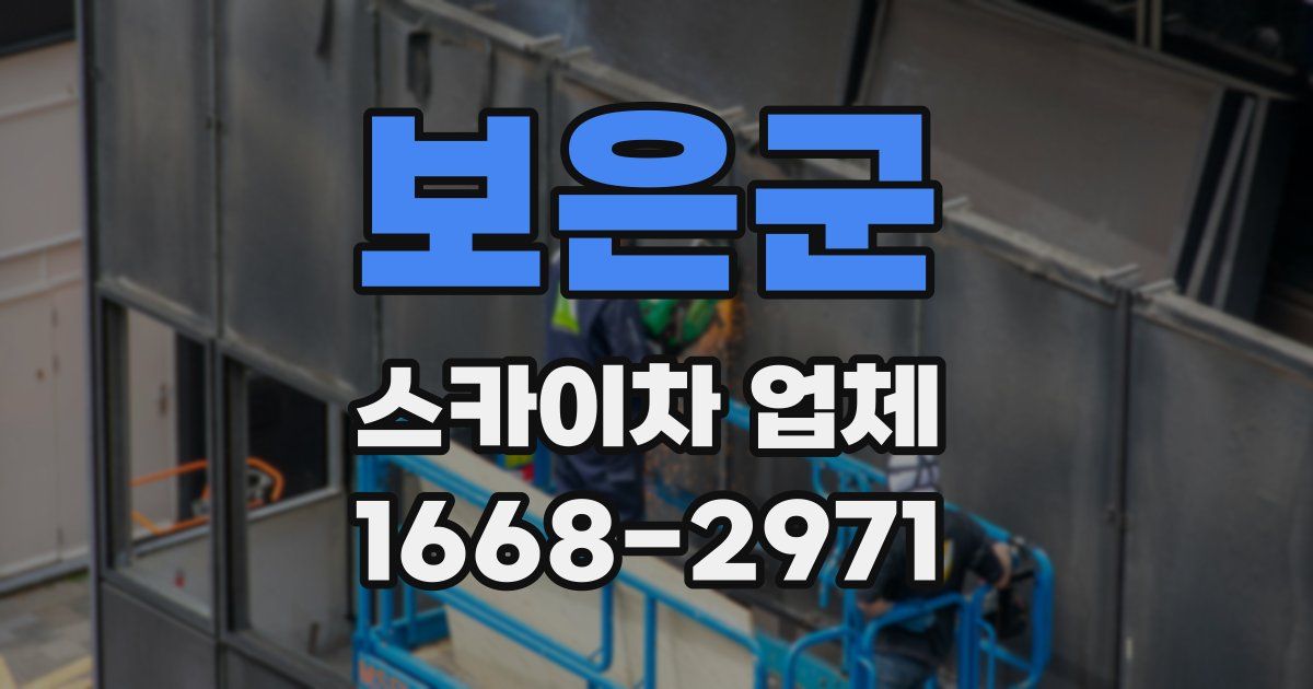 보은군 스카이차 업체