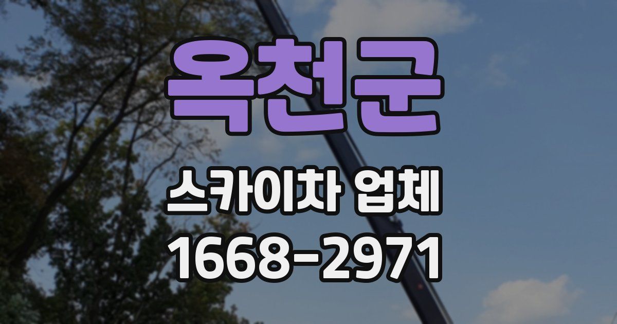 옥천군 스카이차 업체