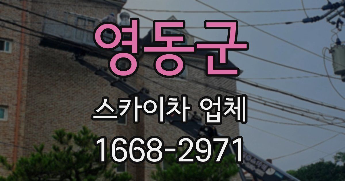 영동군 스카이차 업체