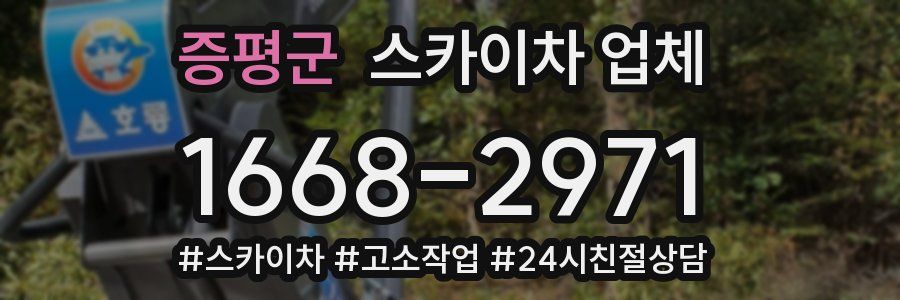 증평군 스카이차 업체