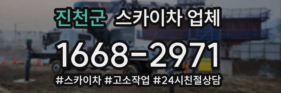 진천군 스카이차 업체