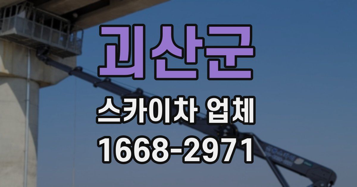괴산군 스카이차 업체