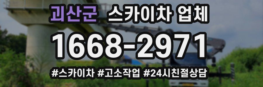 괴산군 스카이차 업체