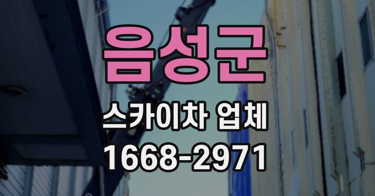 음성군 스카이차 업체