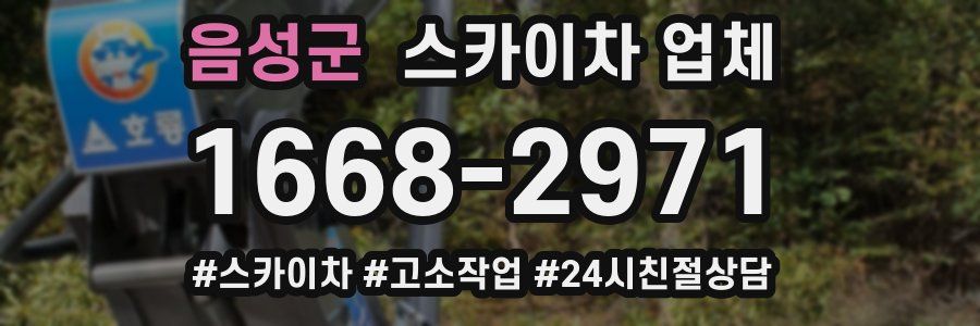 음성군 스카이차 업체