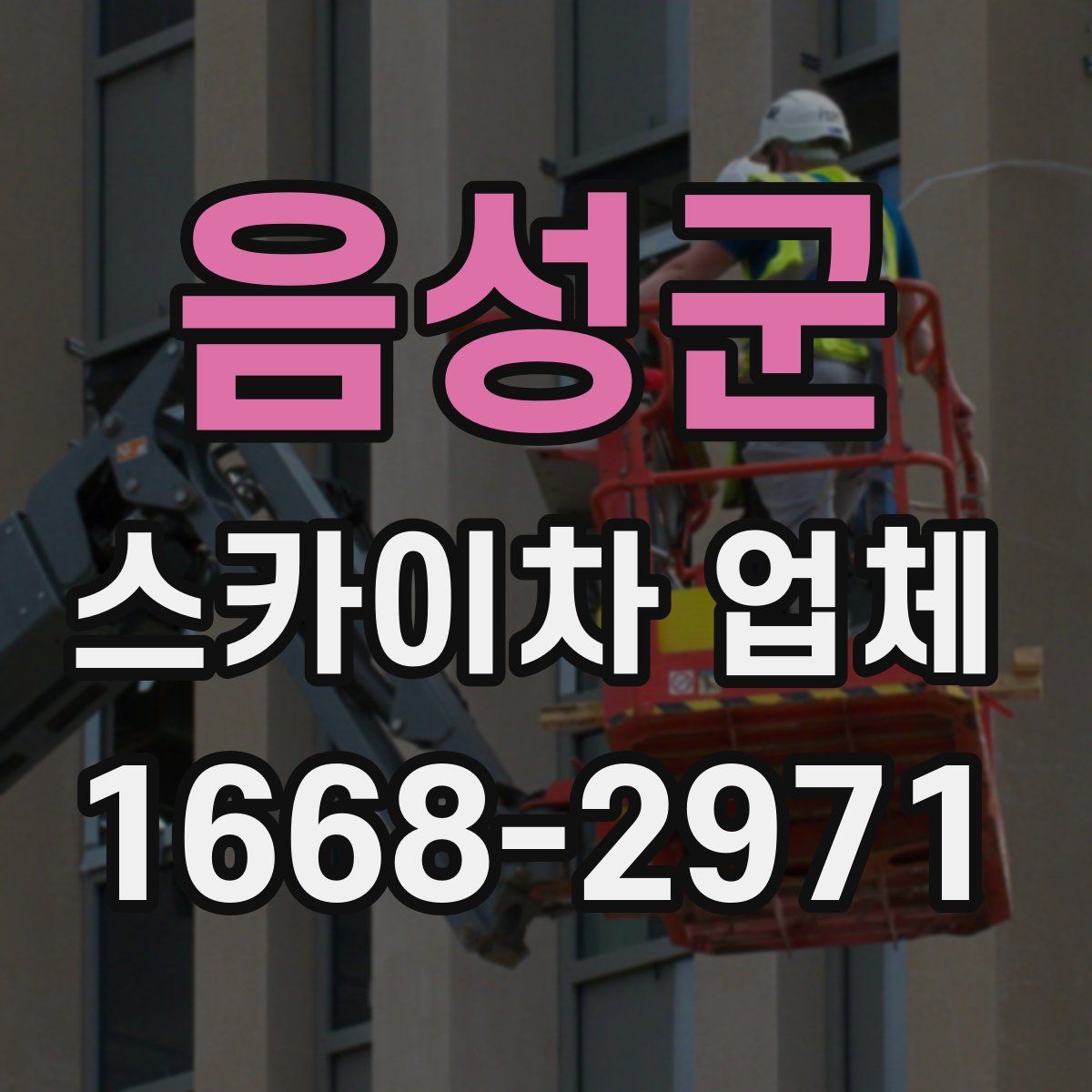음성군 스카이차 업체