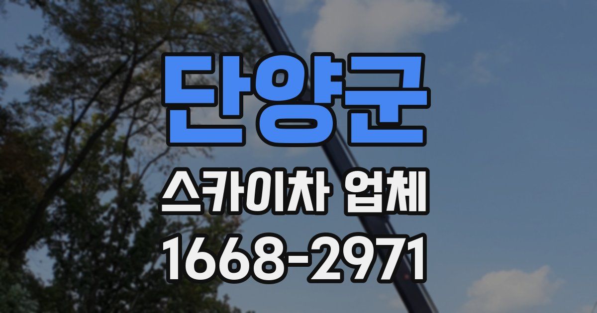단양군 스카이차 업체