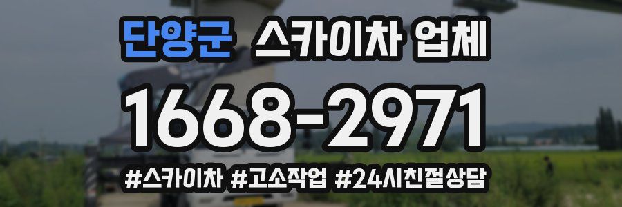 단양군 스카이차 업체