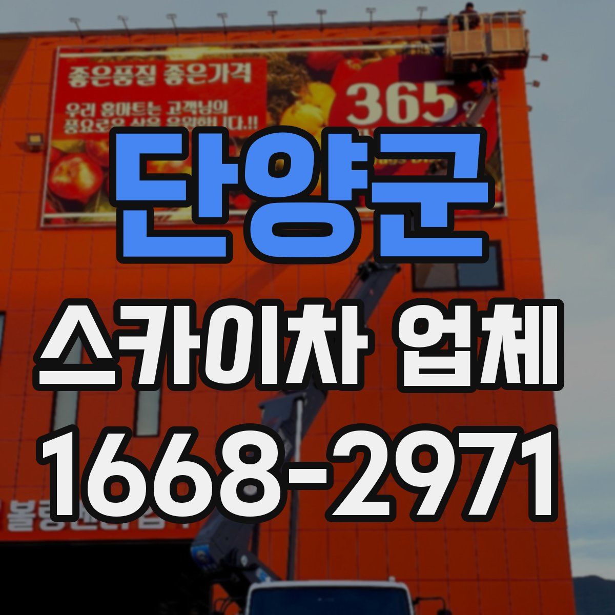 단양군 스카이차 업체