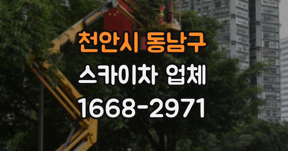 천안시 동남구 스카이차 업체