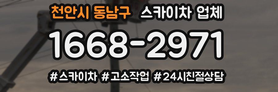 천안시 동남구 스카이차 업체