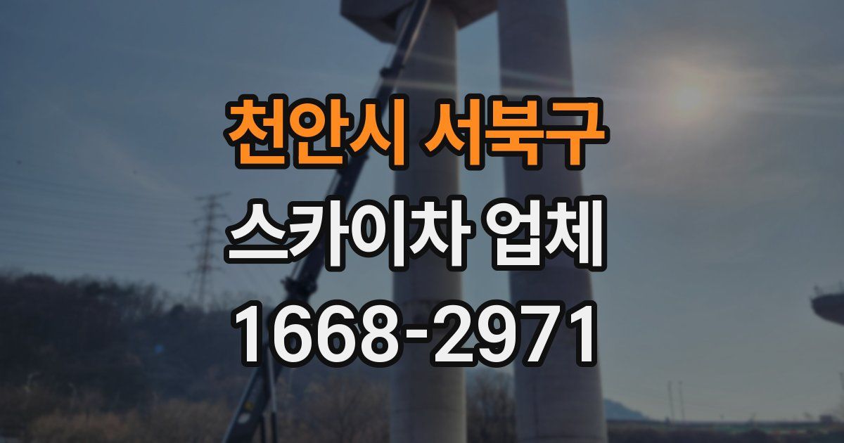 천안시 서북구 스카이차 업체