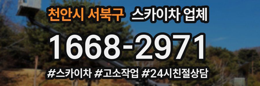 천안시 서북구 스카이차 업체