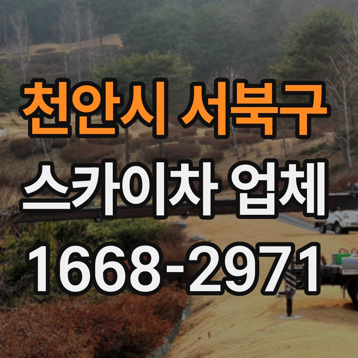 천안시 서북구 스카이차 업체