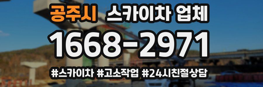 공주시 스카이차 업체