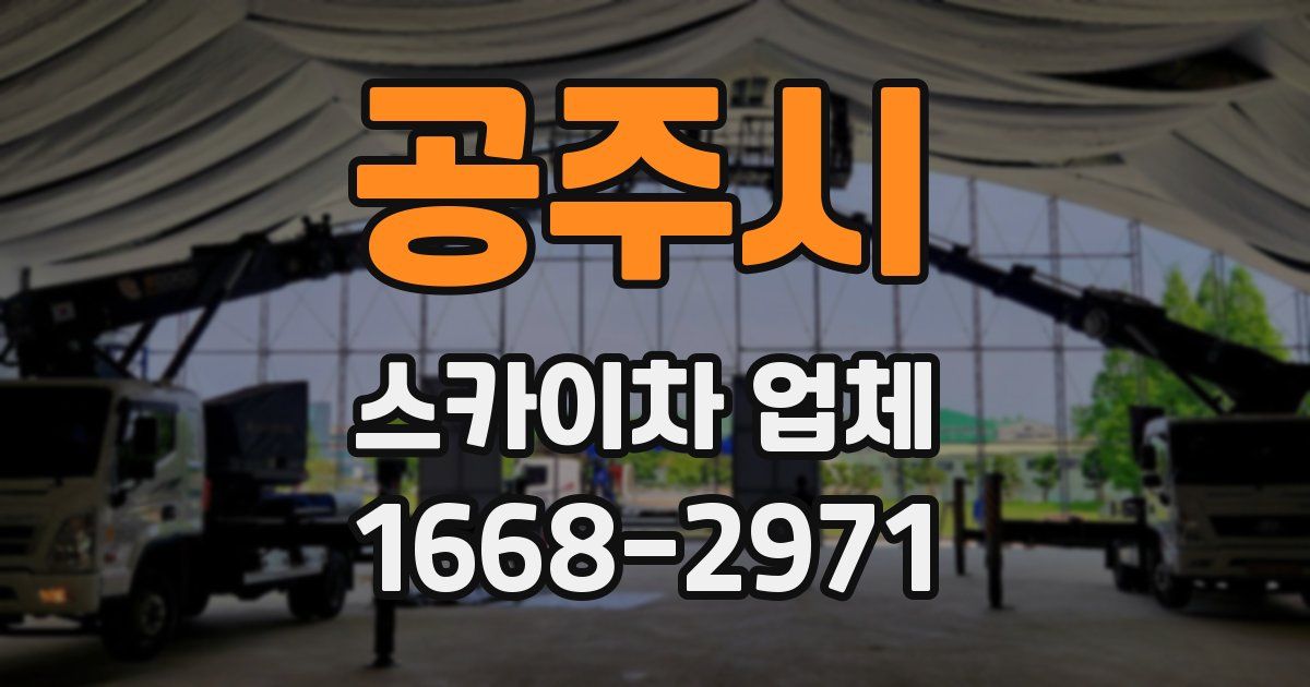 공주시 스카이차 업체