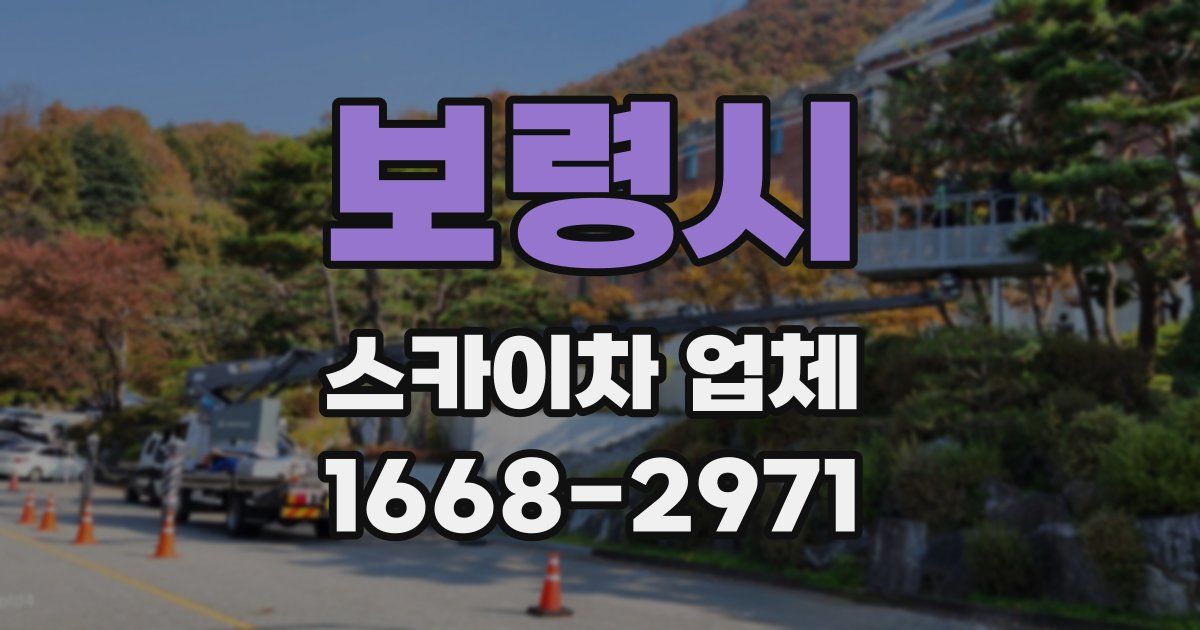 보령시 스카이차 업체