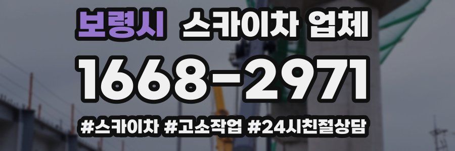 보령시 스카이차 업체
