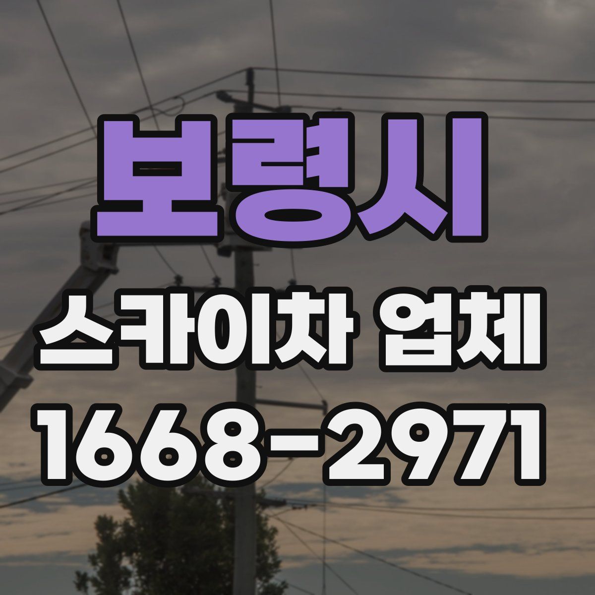 보령시 스카이차 업체