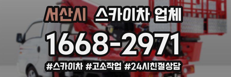 서산시 스카이차 업체