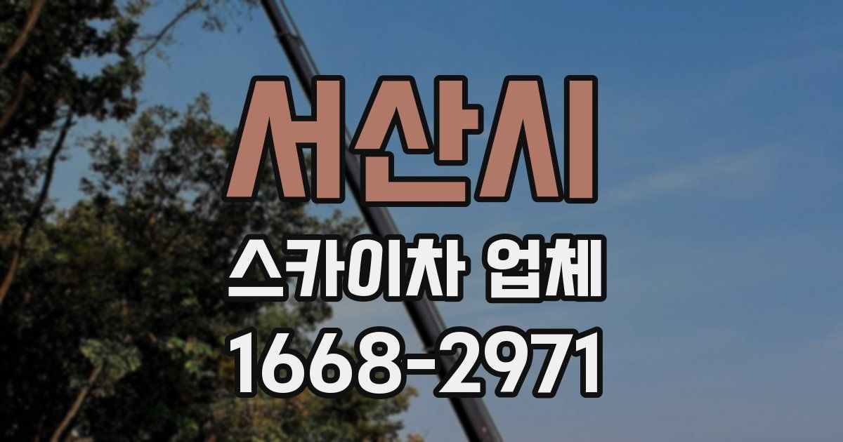 서산시 스카이차 업체