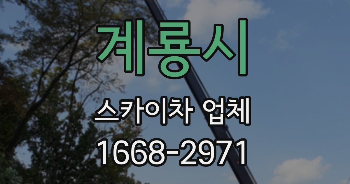 계룡시 스카이차 업체