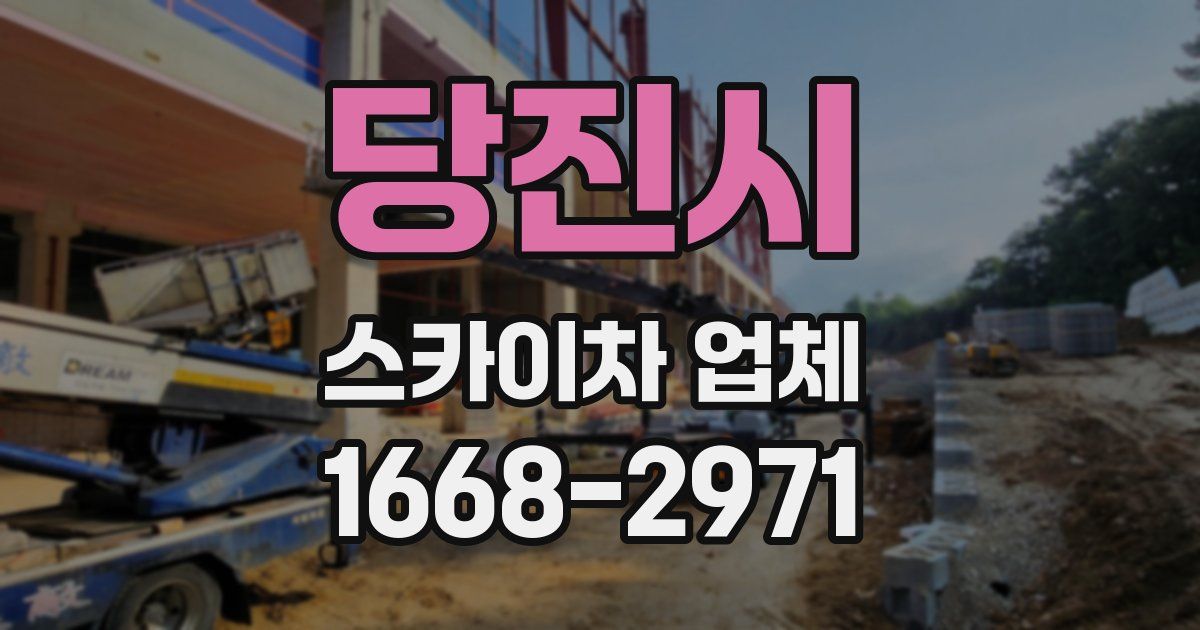 당진시 스카이차 업체