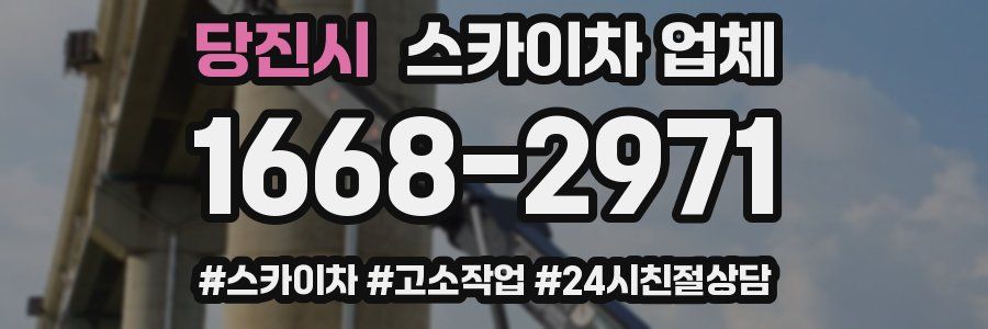 당진시 스카이차 업체