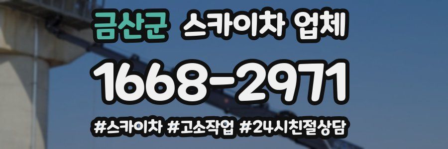 금산군 스카이차 업체