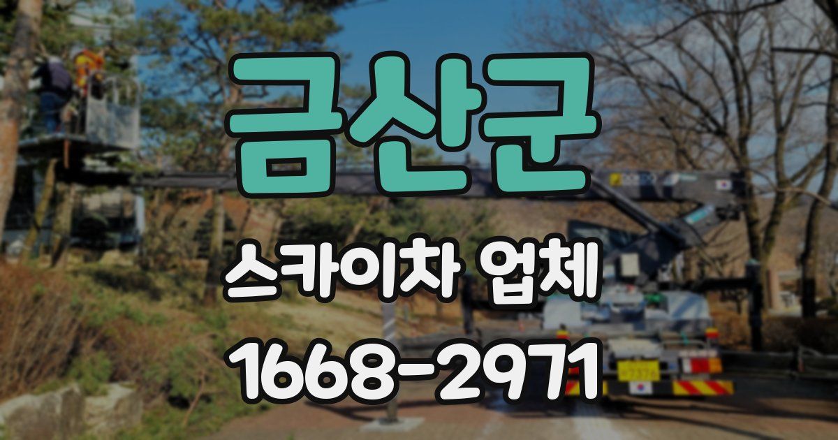 금산군 스카이차 업체