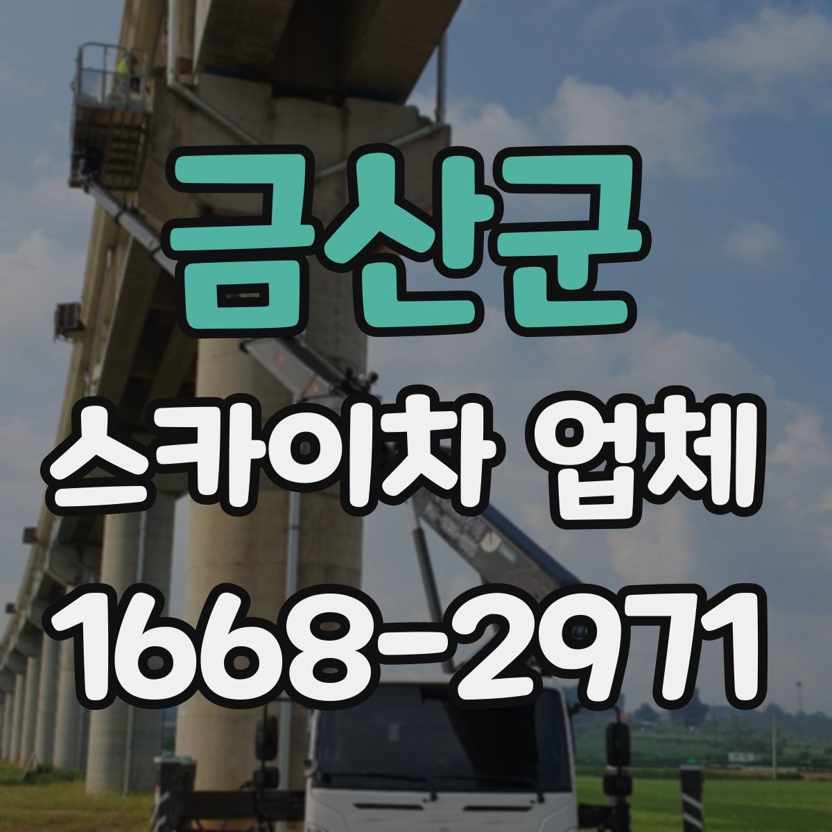 금산군 스카이차 업체