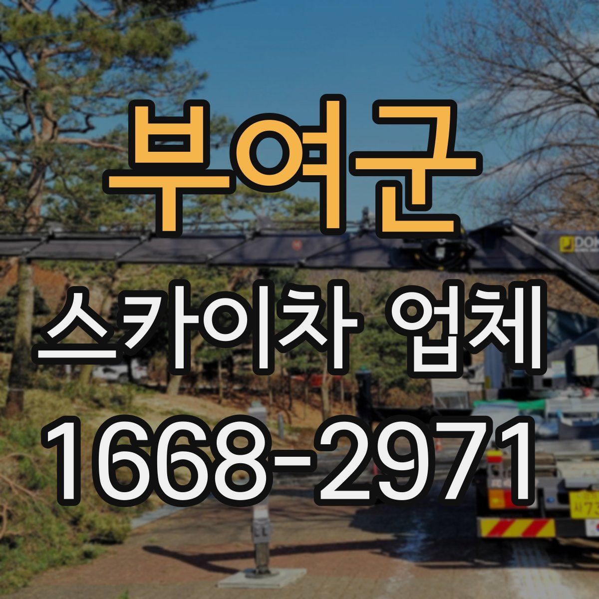 부여군 스카이차 업체