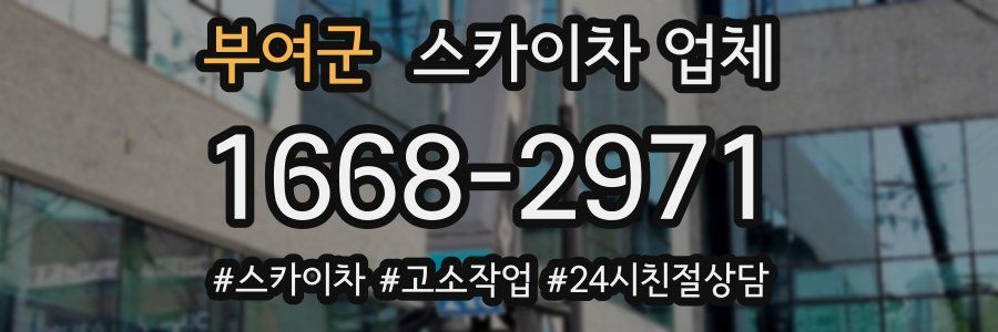 부여군 스카이차 업체