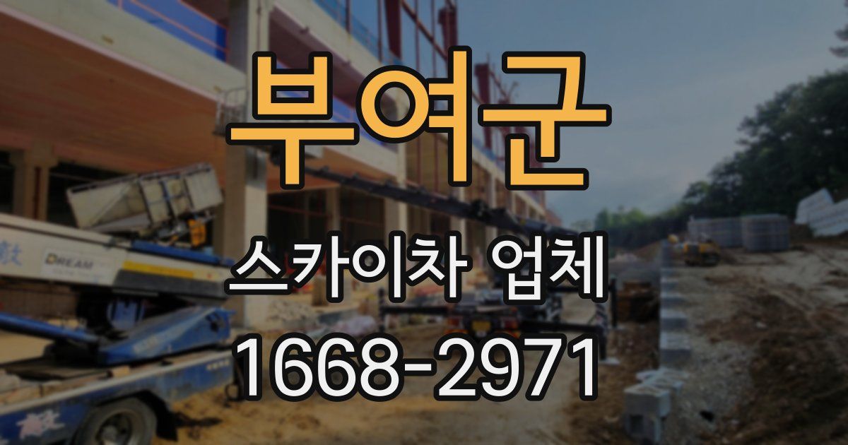 부여군 스카이차 업체