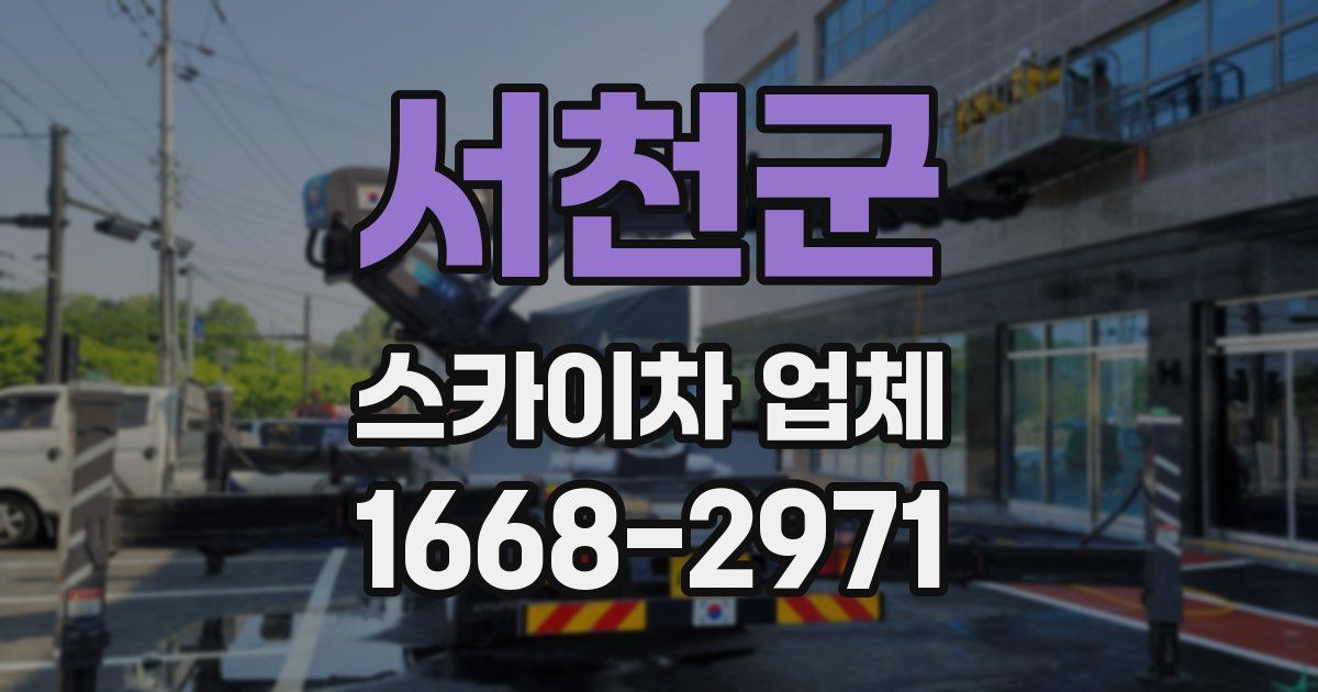 서천군 스카이차 업체