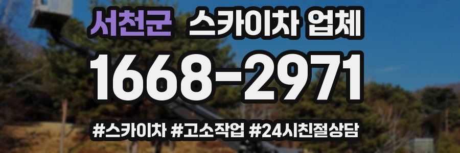 서천군 스카이차 업체
