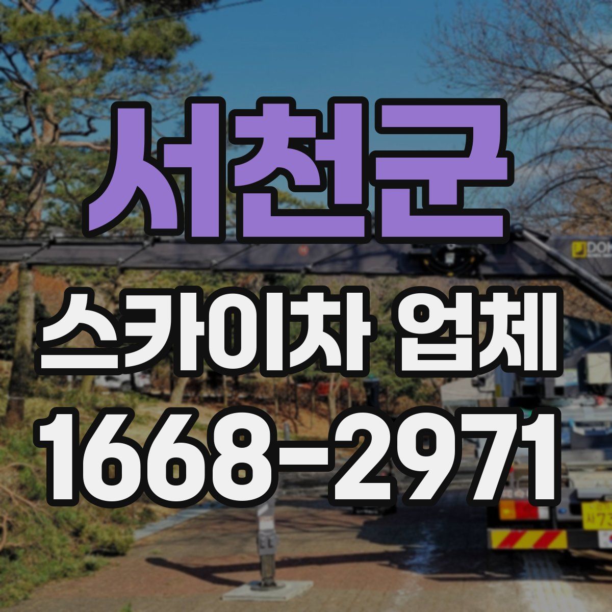 서천군 스카이차 업체