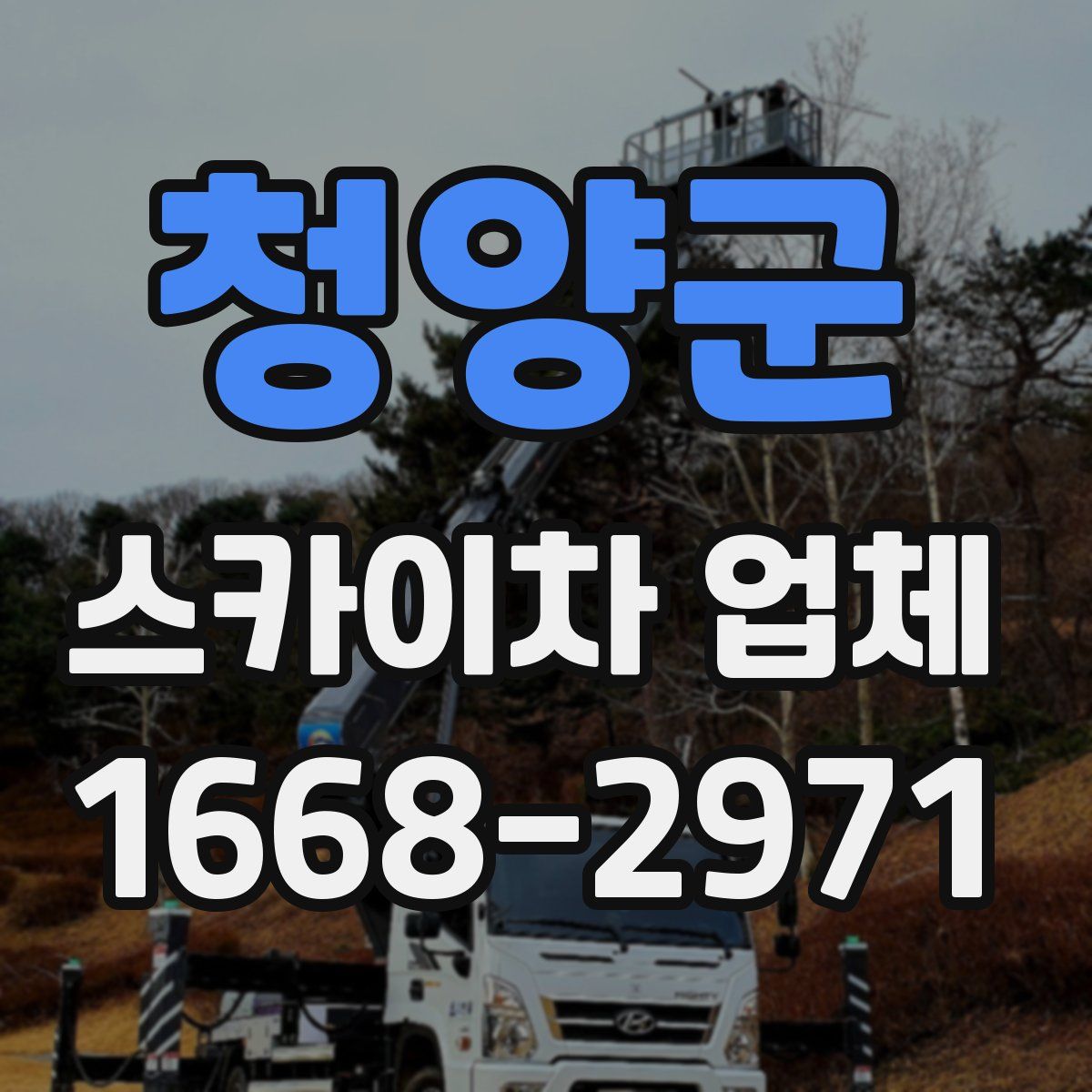 청양군 스카이차 업체