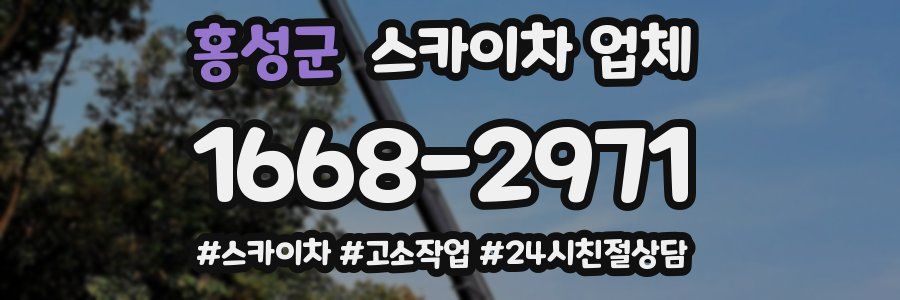 홍성군 스카이차 업체
