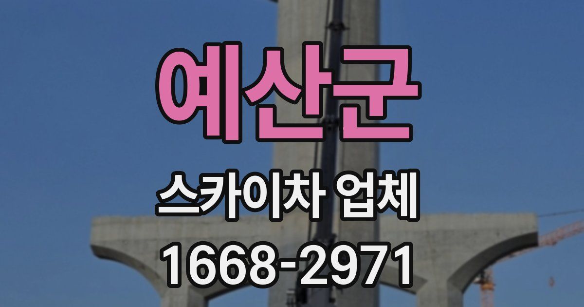 예산군 스카이차 업체