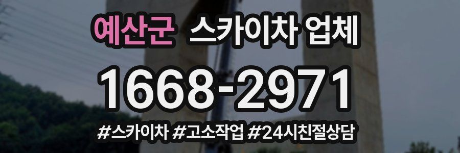 예산군 스카이차 업체