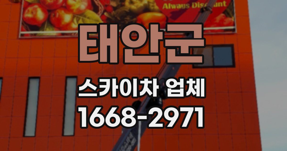 태안군 스카이차 업체