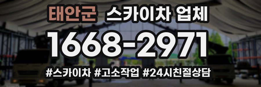 태안군 스카이차 업체