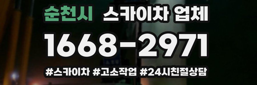 순천시 스카이차 업체