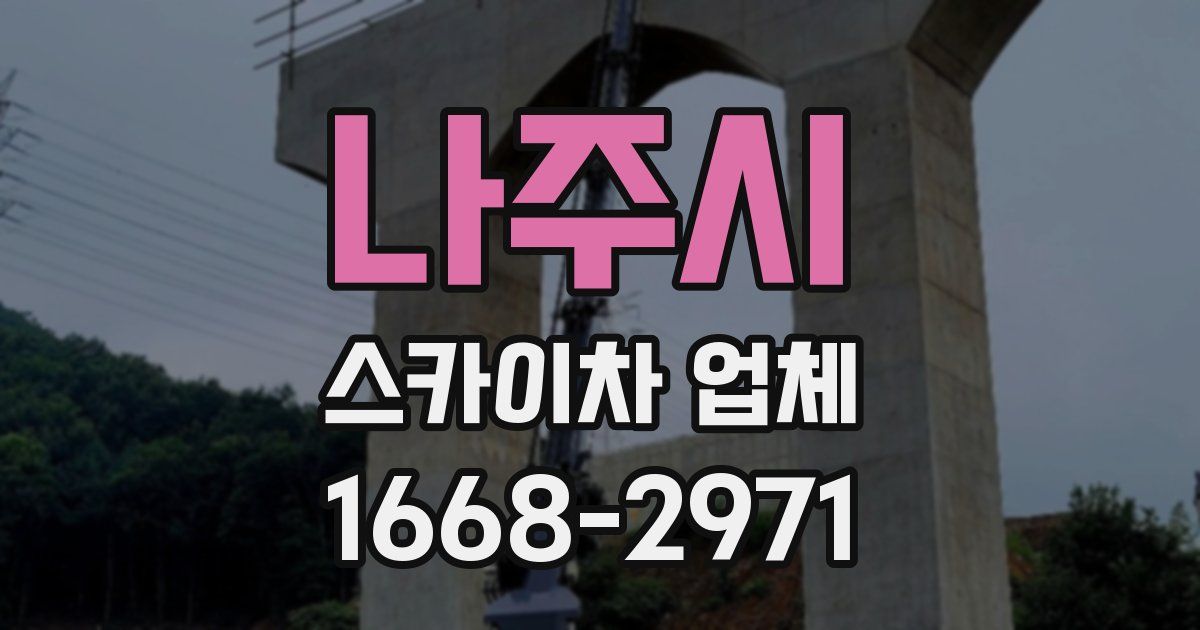 나주시 스카이차 업체