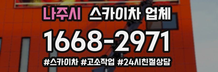 나주시 스카이차 업체