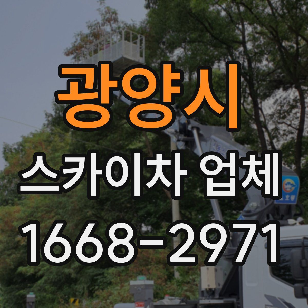 광양시 스카이차 업체